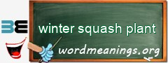 WordMeaning blackboard for winter squash plant
